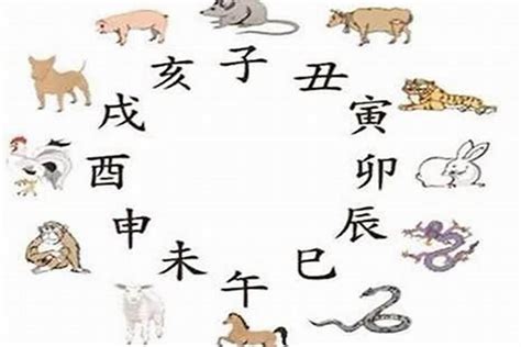 猪和蛇|猪蛇对冲是什么生肖？属猪与属蛇如何化解冲突？